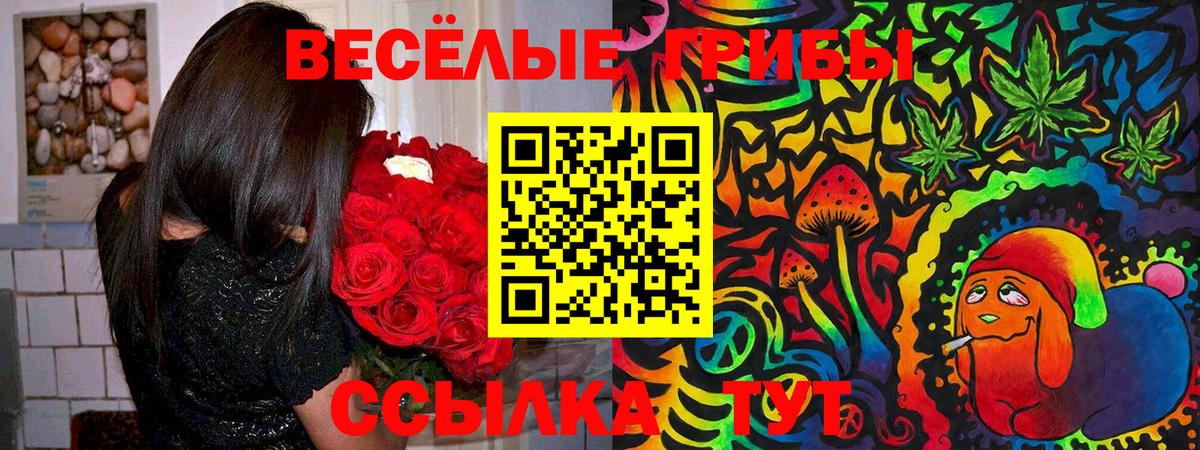 Галлюциногенные грибы мухоморы Новокубанск